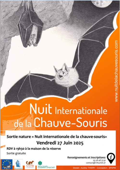 Nuit de la chauve-souris - 2025.jpg