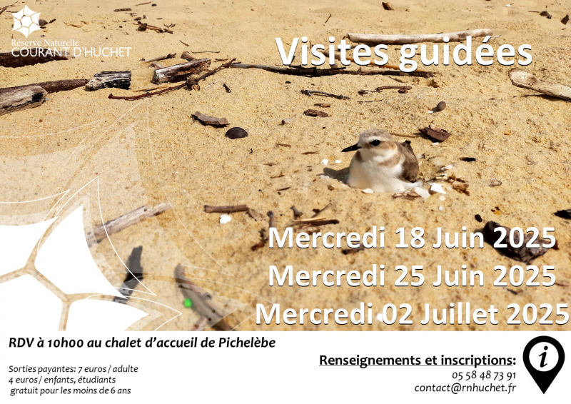 Visites guidées - Juin - 2025.jpg
