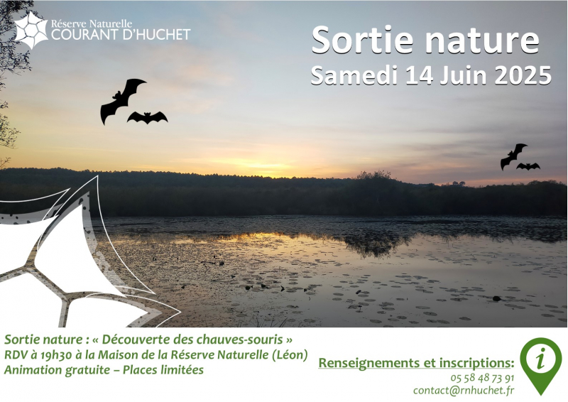 Découverte des chauves-souris  - 2025.jpg